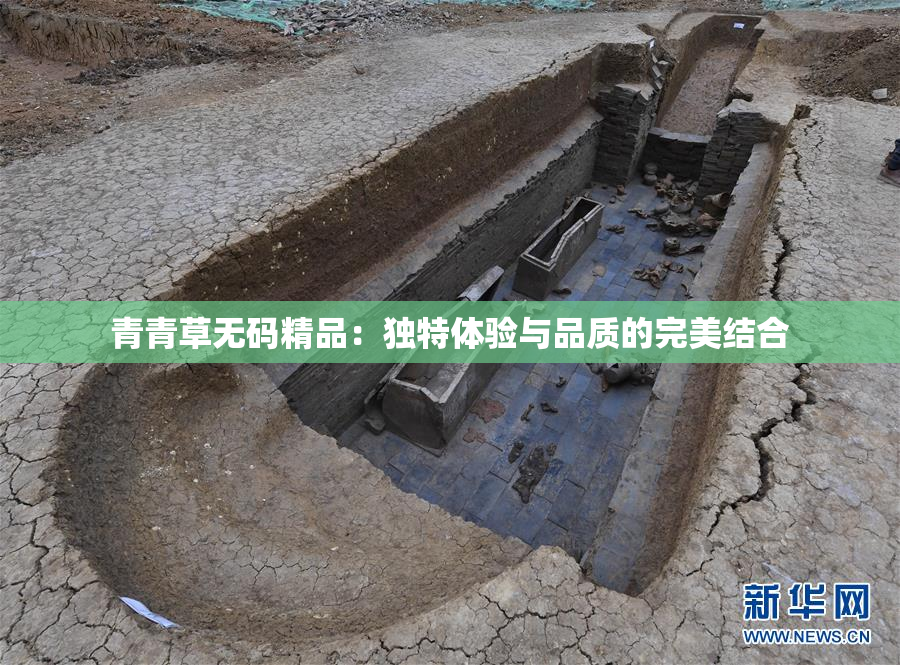 青青草无码精品：独特体验与品质的完美结合