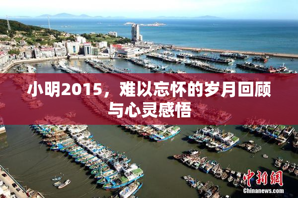 小明2015，难以忘怀的岁月回顾与心灵感悟