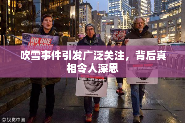 吹雪事件引发广泛关注，背后真相令人深思