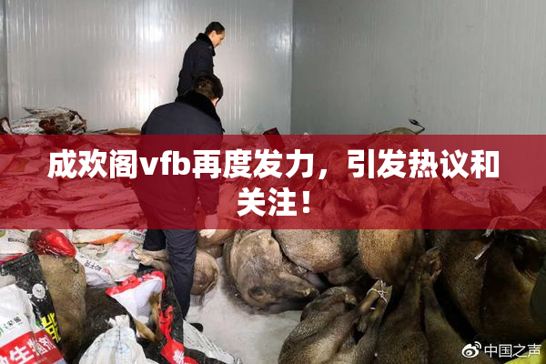 成欢阁vfb再度发力，引发热议和关注！