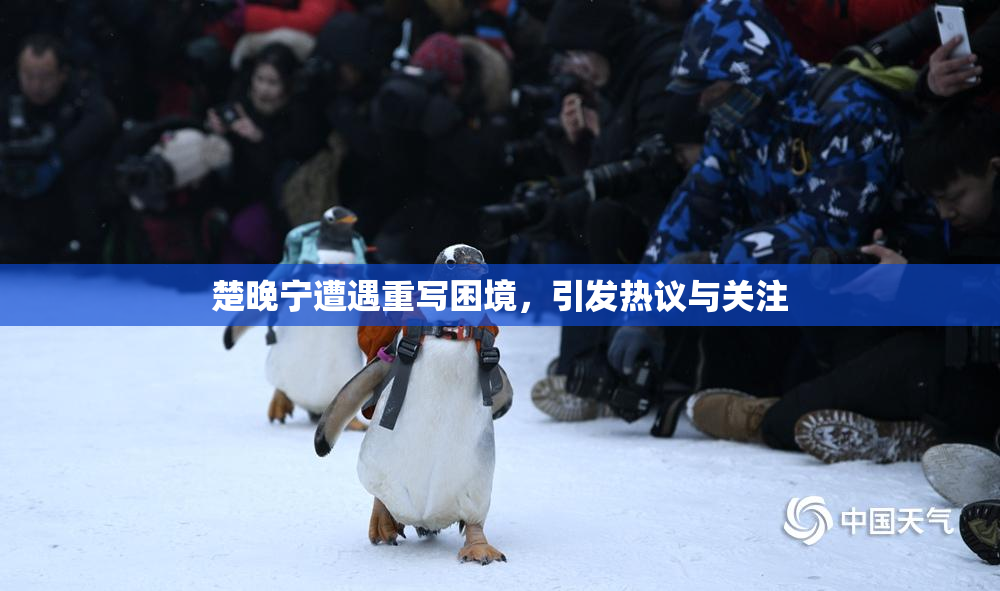 楚晚宁遭遇重写困境，引发热议与关注