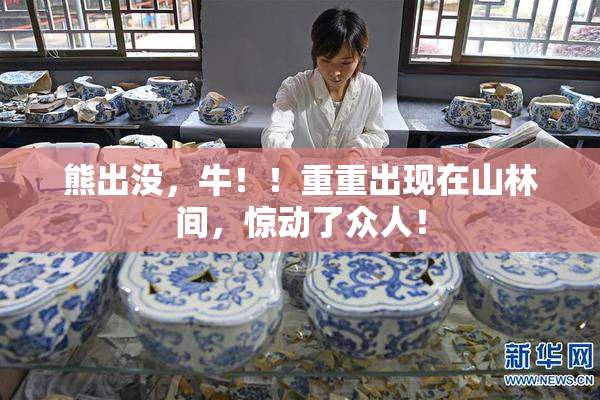 熊出没，牛！！重重出现在山林间，惊动了众人！