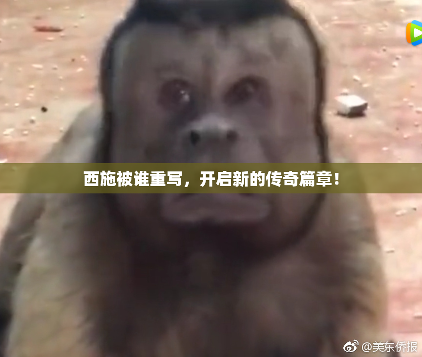 西施被谁重写，开启新的传奇篇章！