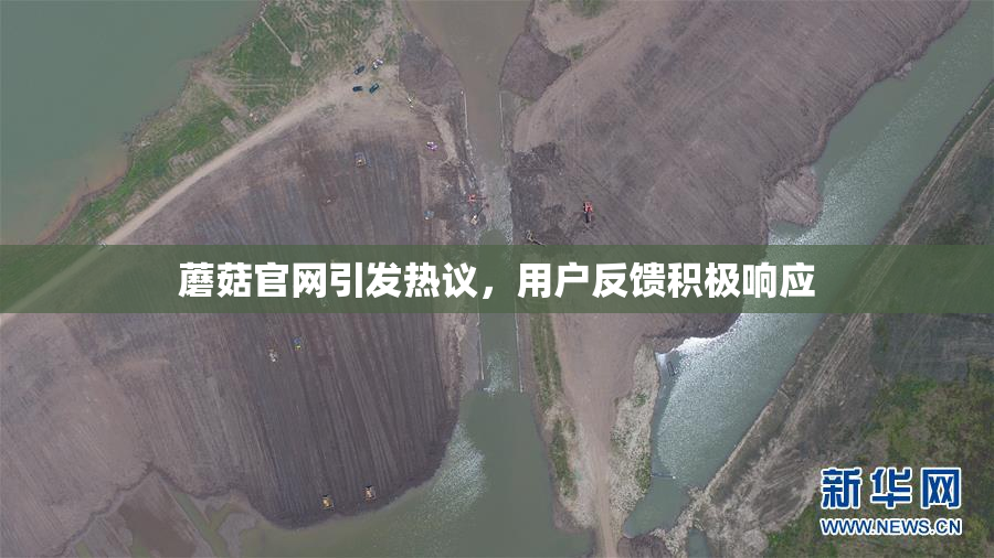 蘑菇官网引发热议，用户反馈积极响应