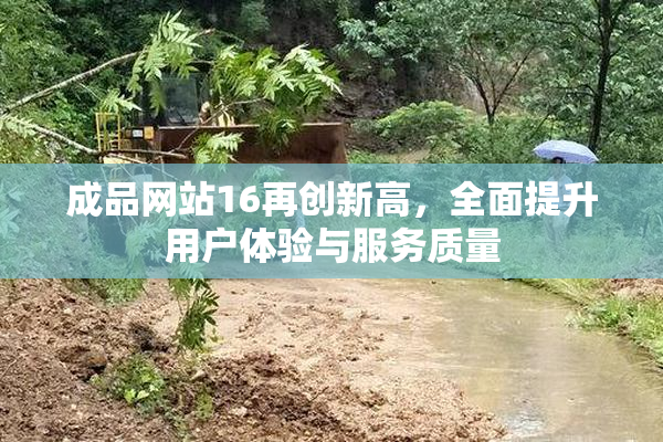 成品网站16再创新高，全面提升用户体验与服务质量