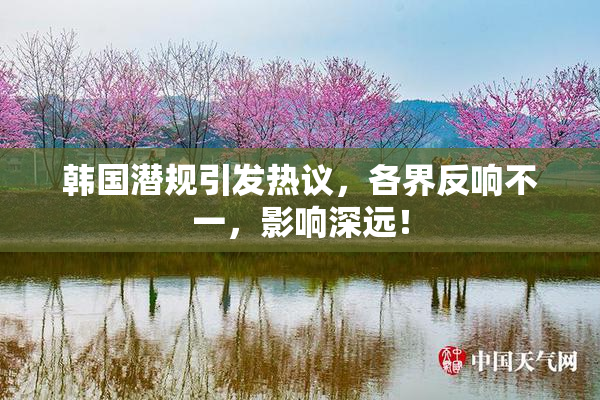 韩国潜规引发热议，各界反响不一，影响深远！