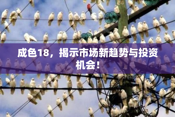 成色18，揭示市场新趋势与投资机会！
