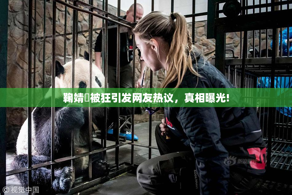 鞠婧祎被狂引发网友热议，真相曝光!