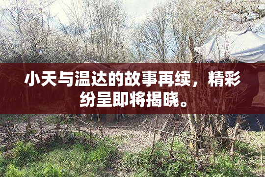 小天与温达的故事再续，精彩纷呈即将揭晓。