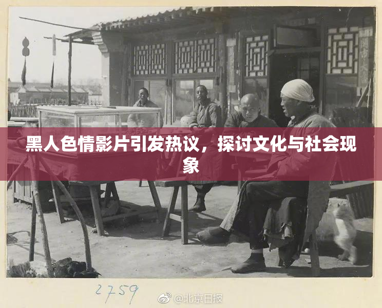 黑人色情影片引发热议，探讨文化与社会现象