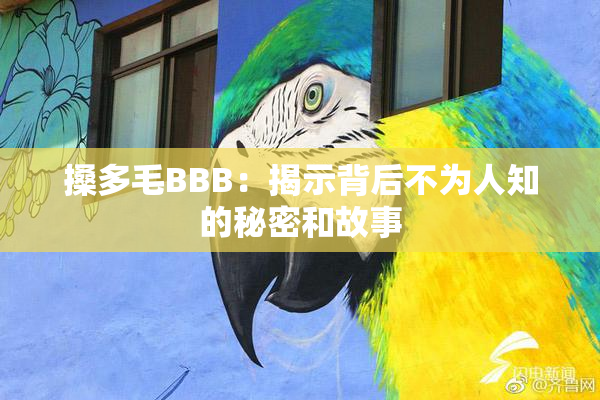 搡多毛BBB：揭示背后不为人知的秘密和故事