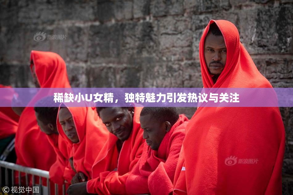 稀缺小U女精，独特魅力引发热议与关注