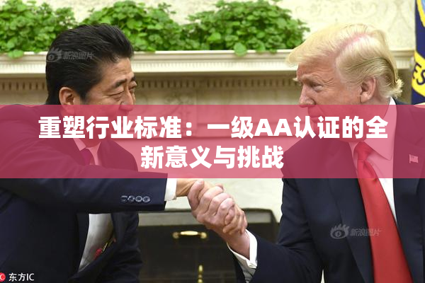 重塑行业标准：一级AA认证的全新意义与挑战