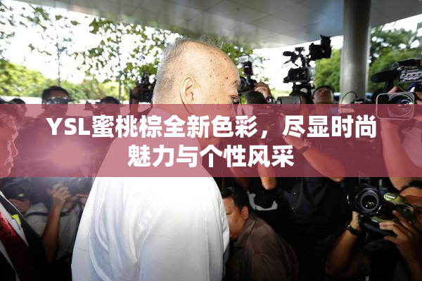 YSL蜜桃棕全新色彩，尽显时尚魅力与个性风采
