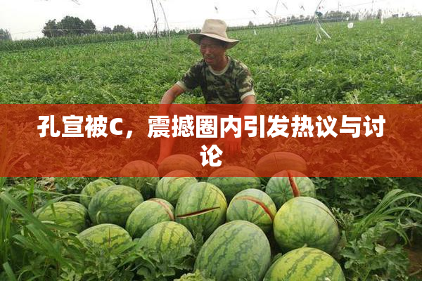 孔宣被C，震撼圈内引发热议与讨论