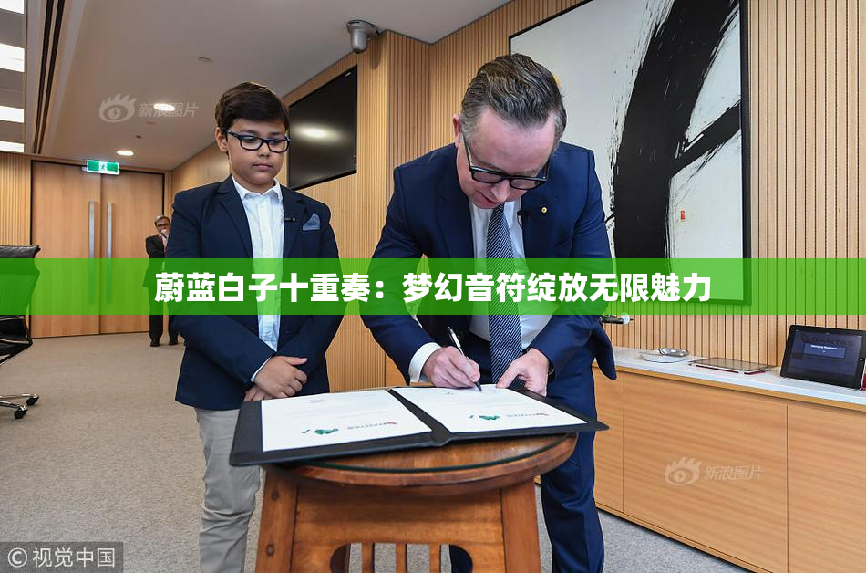 蔚蓝白子十重奏：梦幻音符绽放无限魅力