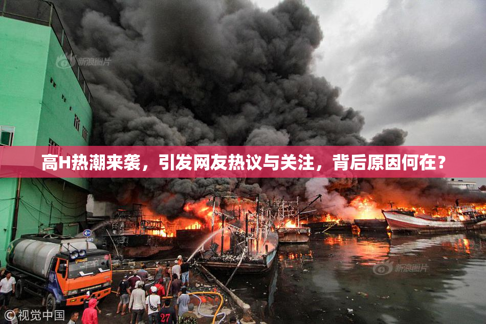 高H热潮来袭，引发网友热议与关注，背后原因何在？