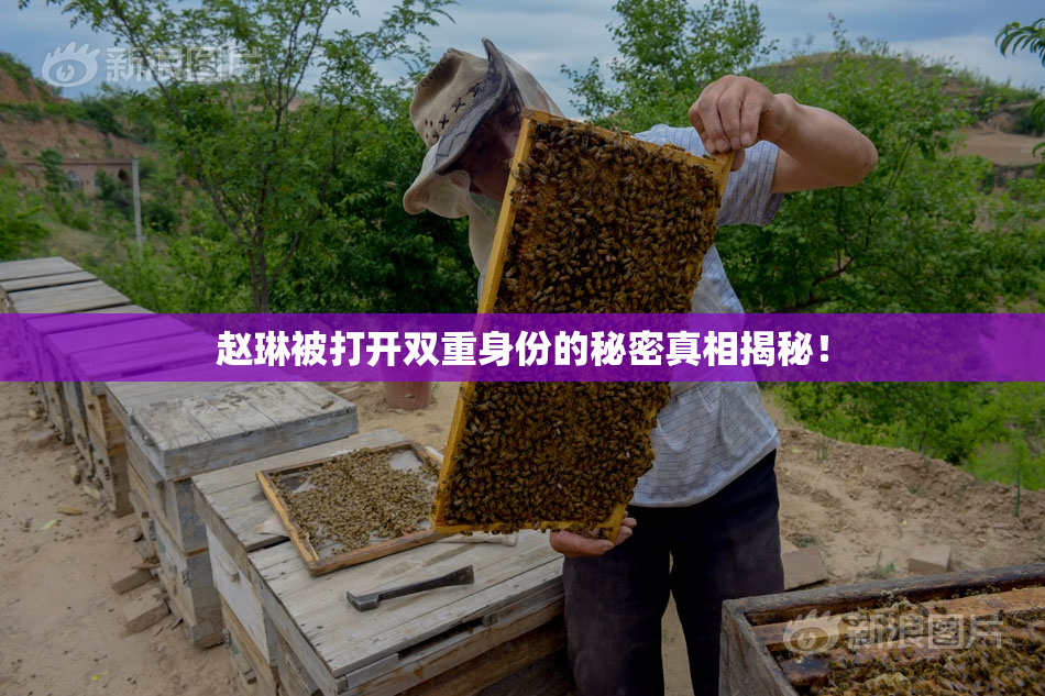 赵琳被打开双重身份的秘密真相揭秘！