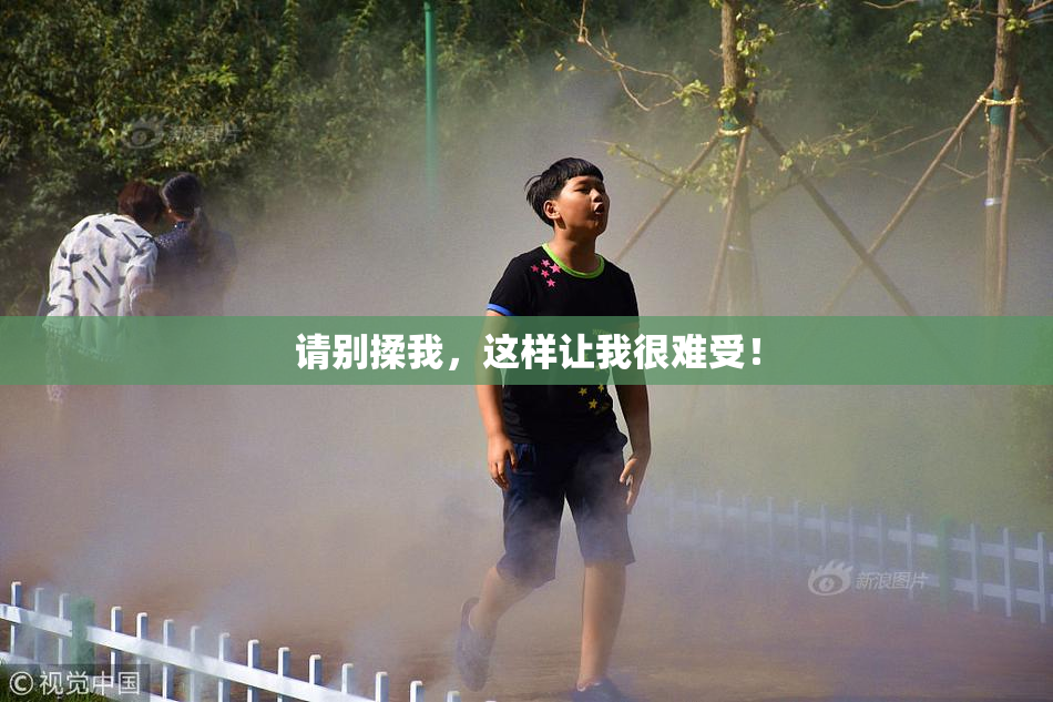 请别揉我，这样让我很难受！