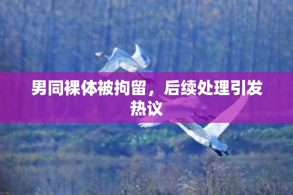 男同裸体被拘留，后续处理引发热议