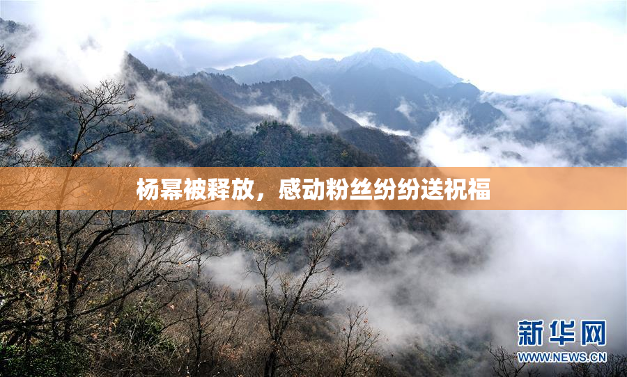 杨幂被释放，感动粉丝纷纷送祝福