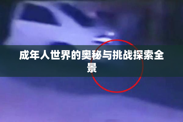 成年人世界的奥秘与挑战探索全景