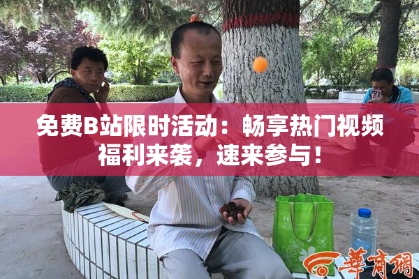 免费B站限时活动：畅享热门视频福利来袭，速来参与！