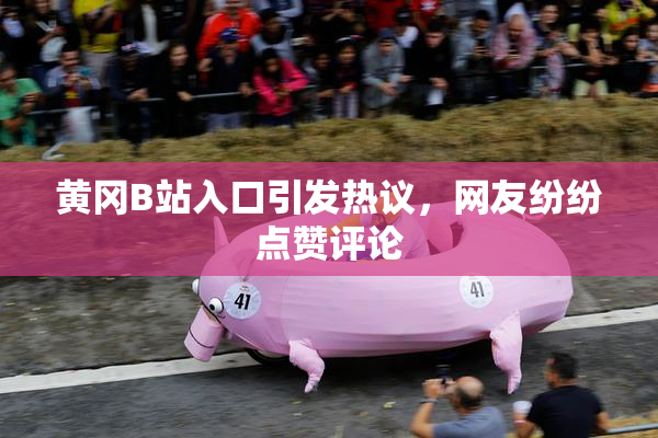 黄冈B站入口引发热议，网友纷纷点赞评论