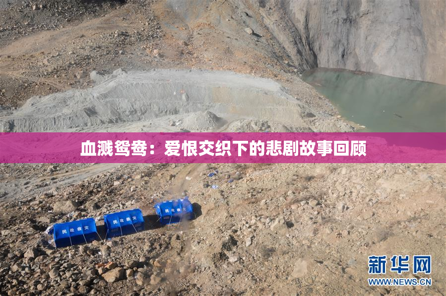 血溅鸳鸯：爱恨交织下的悲剧故事回顾