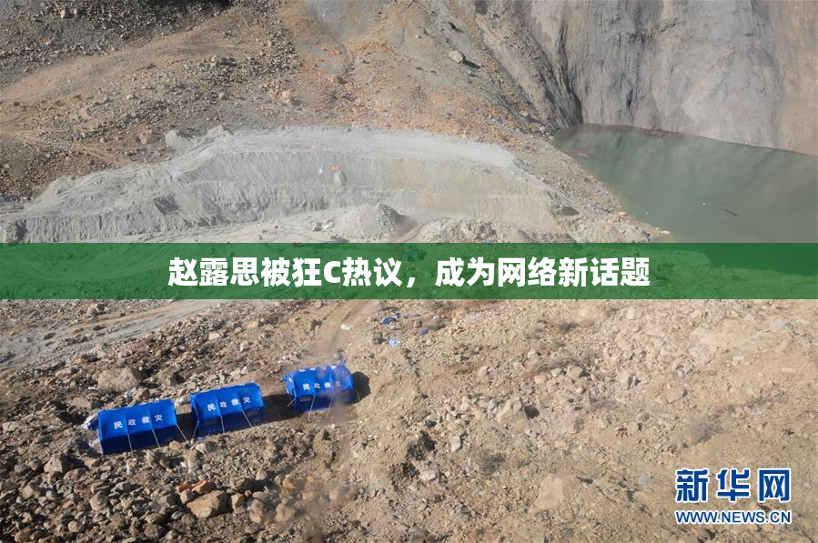 赵露思被狂C热议，成为网络新话题