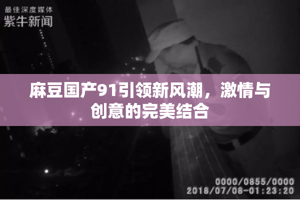 麻豆国产91引领新风潮，激情与创意的完美结合
