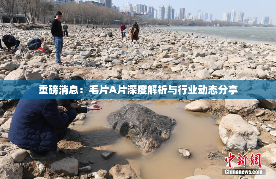 重磅消息：毛片A片深度解析与行业动态分享
