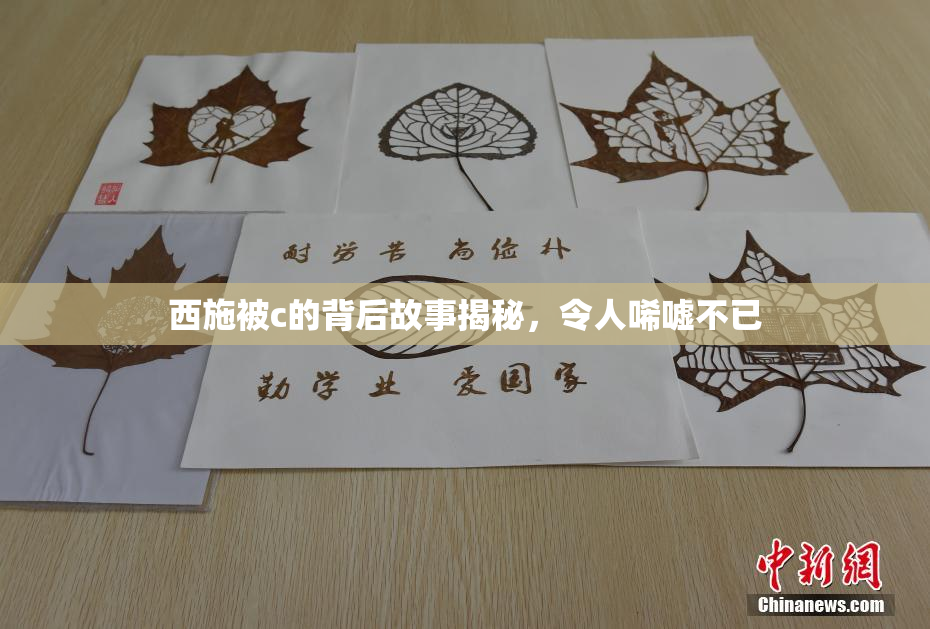 西施被c的背后故事揭秘，令人唏嘘不已