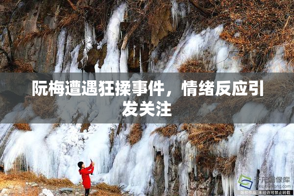阮梅遭遇狂揉事件，情绪反应引发关注