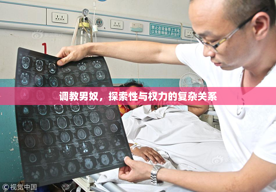 调教男奴，探索性与权力的复杂关系
