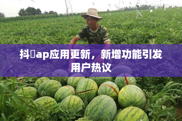 抖抈ap应用更新，新增功能引发用户热议