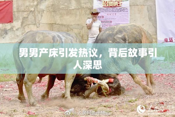 男男产床引发热议，背后故事引人深思