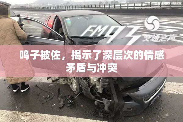 鸣子被佐，揭示了深层次的情感矛盾与冲突