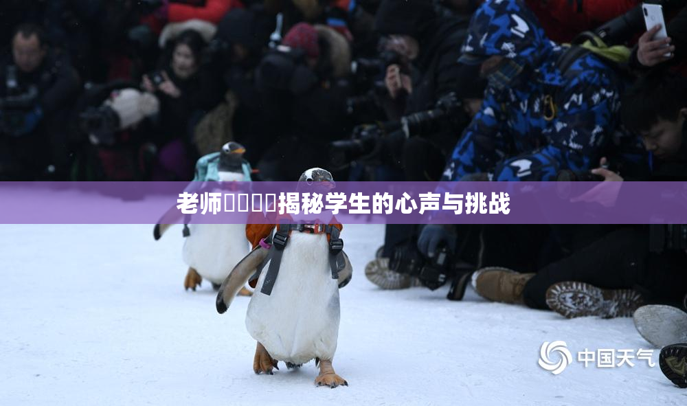 老师❌‌❌‌揭秘学生的心声与挑战