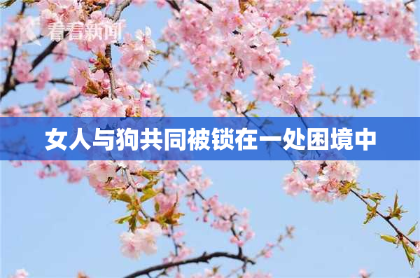 女人与狗共同被锁在一处困境中