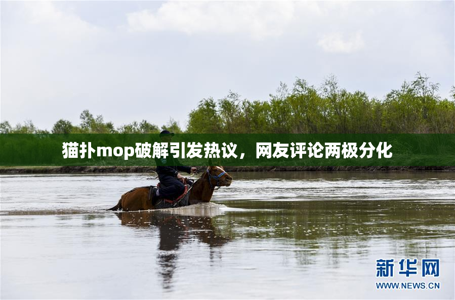 猫扑mop破解引发热议，网友评论两极分化