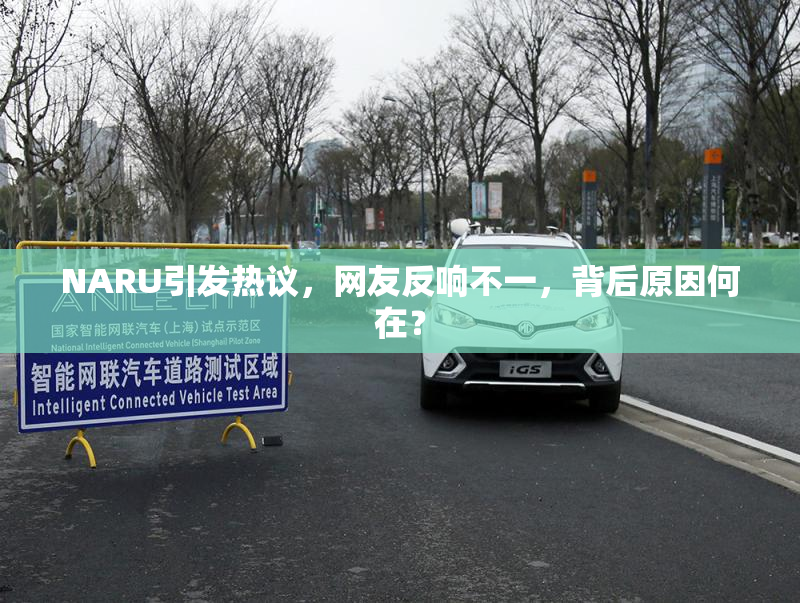 NARU引发热议，网友反响不一，背后原因何在？