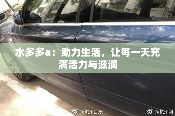 水多多a：助力生活，让每一天充满活力与滋润