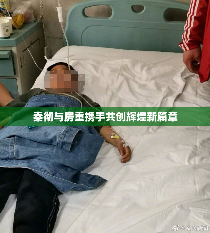 秦彻与房重携手共创辉煌新篇章