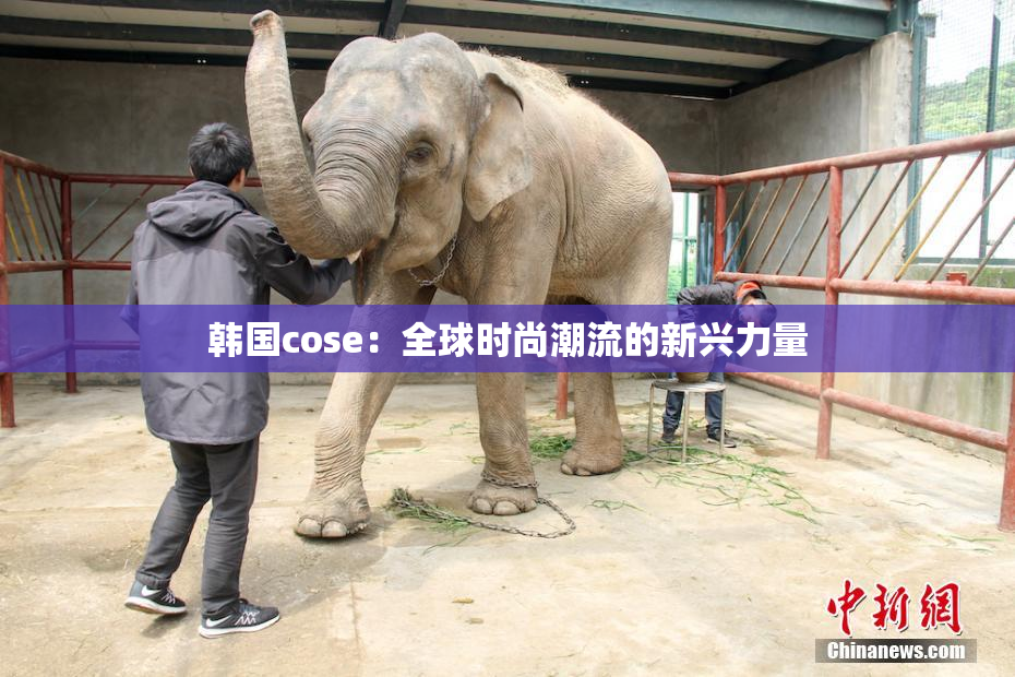 韩国cose：全球时尚潮流的新兴力量