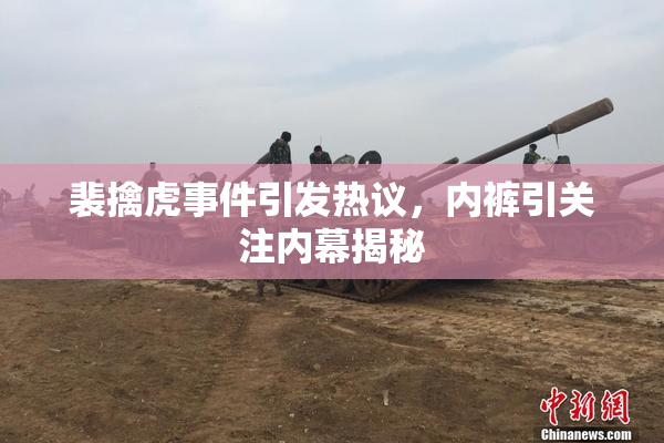 裴擒虎事件引发热议，内裤引关注内幕揭秘