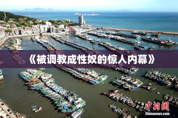 《被调教成性奴的惊人内幕》
