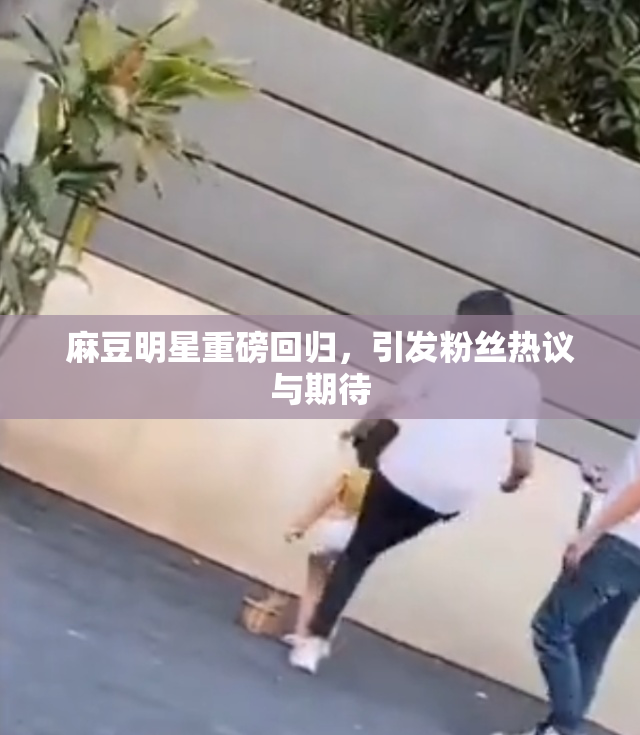 麻豆明星重磅回归，引发粉丝热议与期待