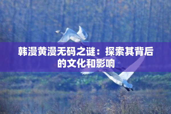 韩漫黄漫无码之谜：探索其背后的文化和影响