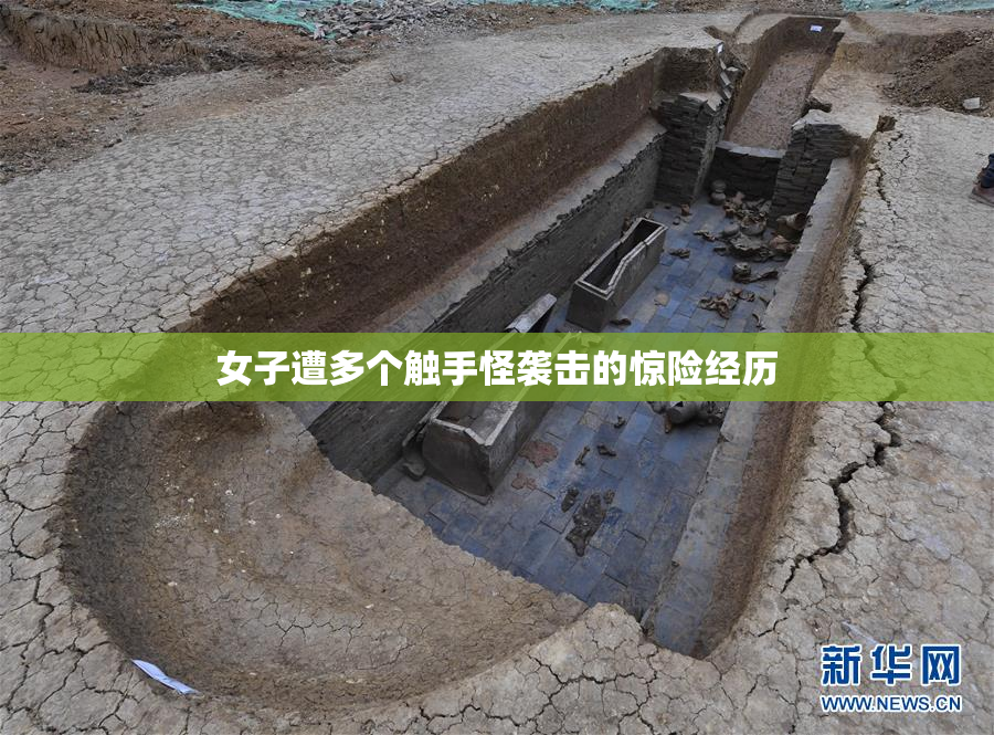 女子遭多个触手怪袭击的惊险经历